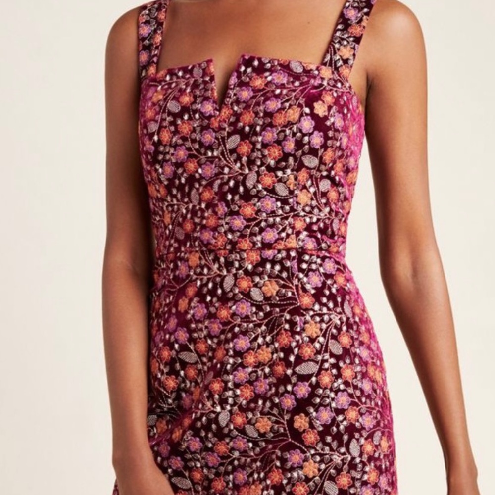 Jazz Embroidered Velvet Mini Dress